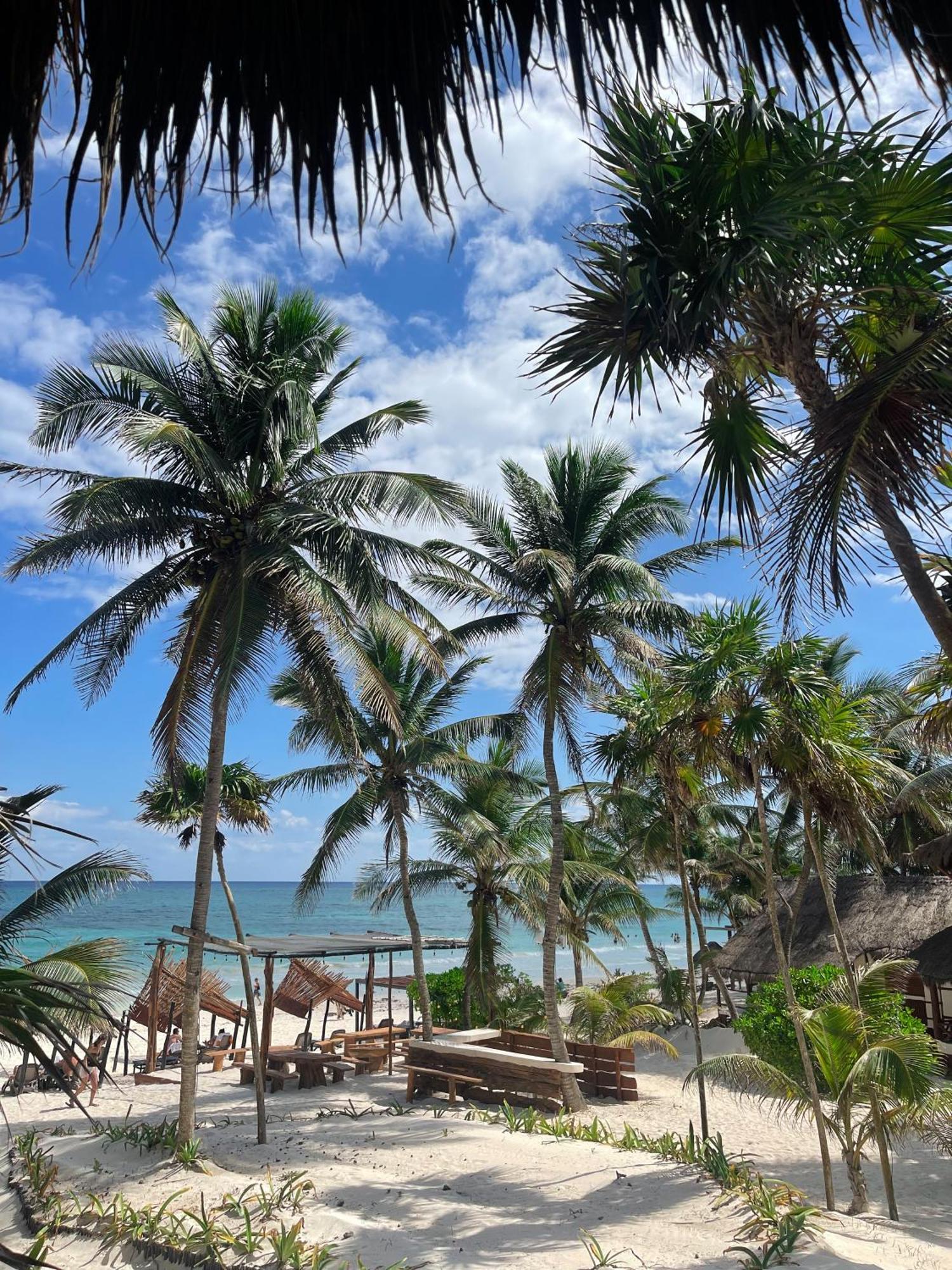 Hotel Bt Live Tulum Located At The Party Zone Exterior foto